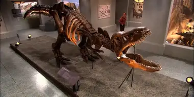 Dino-Mite