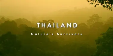 Thailand - Nature's Survivors