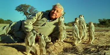 Attenborough's Life Stories: Understanding the Natural World