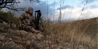 Stalking the Grey Ghost: Arizona Coues Whitetail Deer