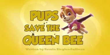 Pups Save the Queen Bee