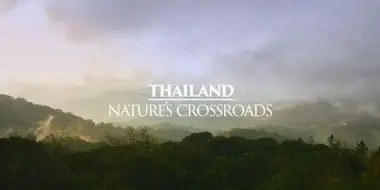 Thailand: Nature's Crossroads