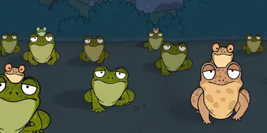 Toads