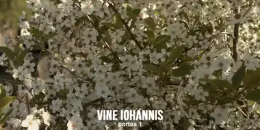 Vine Iohannis (1)