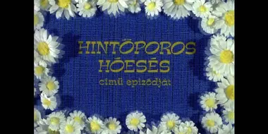 Hintőporos hóesés