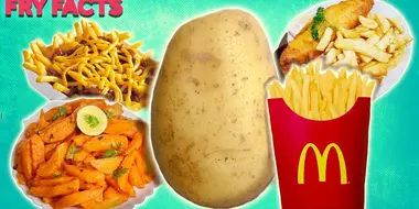 Fascinating Fried Facts About French Fries