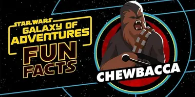 Fun Facts: Chewbacca