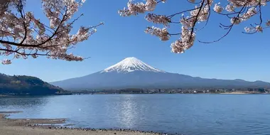 Fuji Five Lakes: The Water of Life