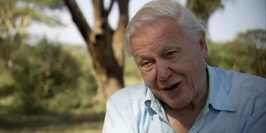 Interview with Sir David Attenborough