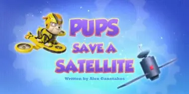 Pups Save a Satellite