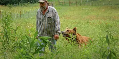 To Teach a Bear to Fish