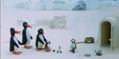 Pingu and the Stranger