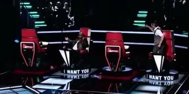 The Blind Auditions (4)