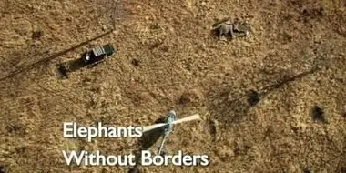 Elephants without Borders