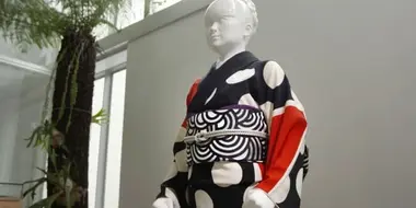 Evolving Kimono