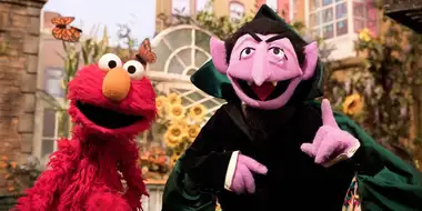 The Count's Counting Error