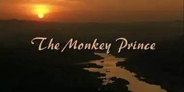 The Monkey Prince