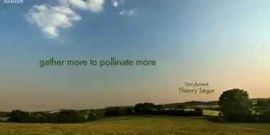 Gather more to pollinate more