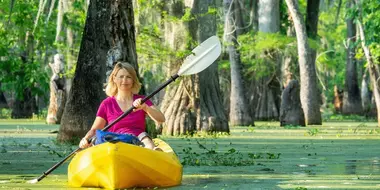 Lafayette and Cajun Country, Louisiana