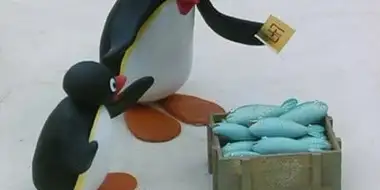 Pingu Draws a Winner