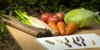 A Harvest of Colors