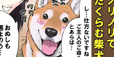 Surprise! / Setsubun / Fetch: Shibas
