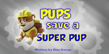 Pups Save a Super Pup