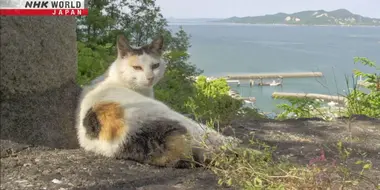 Seto Inland Sea: Two Cat Islands