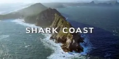 Shark Coast