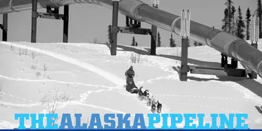 The Alaska Pipeline