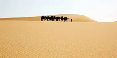 The Yellow Sahara