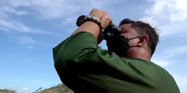 Eyes on the Sky: Vulture Man of Phuket