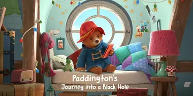 Paddington's Journey into a Black Hole