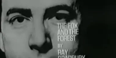 The Fox and the Forest