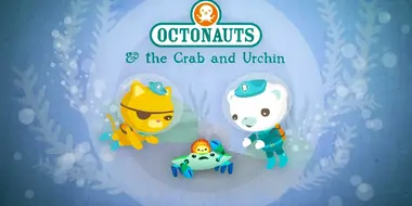 The Crab and the Urchin