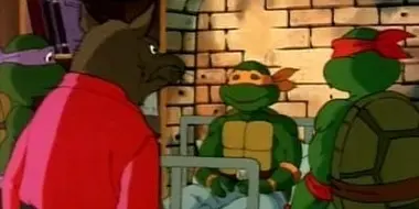 Michaelangelo Meets Mondo Gecko