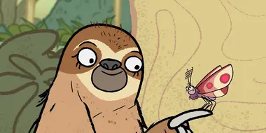 The Moth and the Sloth