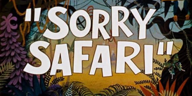 Sorry Safari