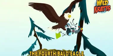 The Fourth Bald Eagle