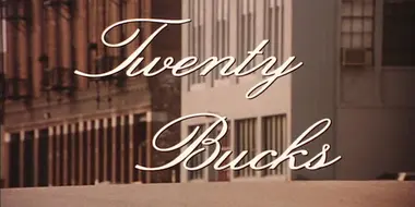 Twenty Bucks (1993)