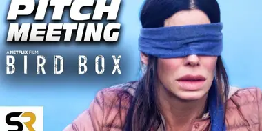 Bird Box Pitch Meeting