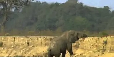 Vanishing Pools of the Zambezi