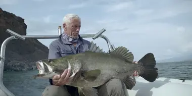 African Lake Giants