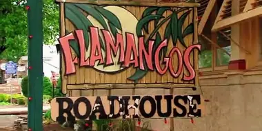 Flamangos