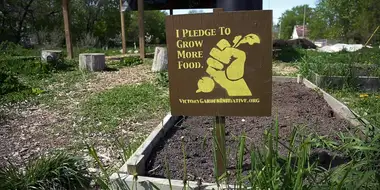 The Victory Garden Initiative