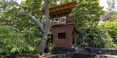 Kona Treehouse