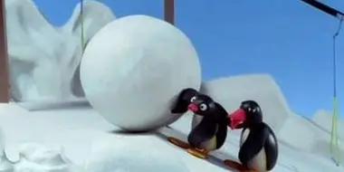 Pingu and the Snowball