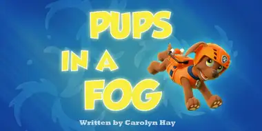Pups in a Fog