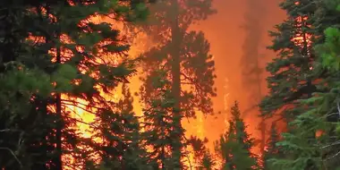 The time of the forest fires