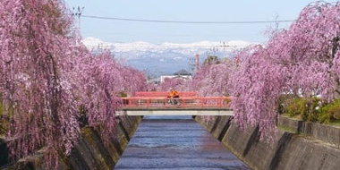 Yamagata - Call of The Wild